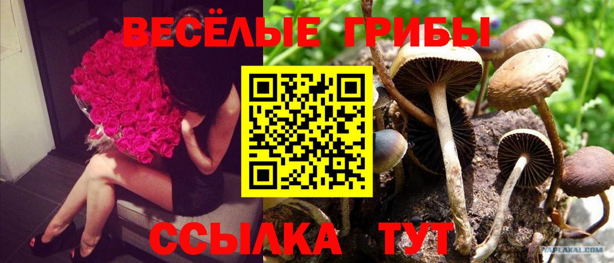Галлюциногенные грибы MAGIC MUSHROOMS Мурманск